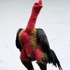 _van_anh_thu_