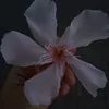 es_ther108