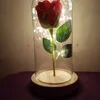 mireillebeaussart1