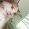 Keisha