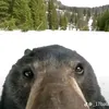 eatler6969