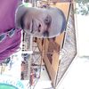user5719616836779