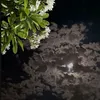 y3uio