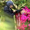 shahdkhamad