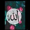 user7001880413368899