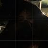 star_alex13