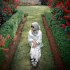 wulan_ansazr