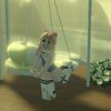 sunflowernjyjjtj_12