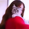 hdihdodjjxodjndi
