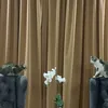 budak3ketul