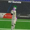 mr_bunny347
