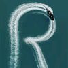 reeham.1992