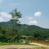 robanill0