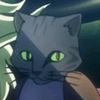 dio_birdcat
