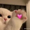 baokimnek