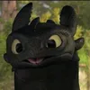 toothless.codm2