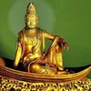 vannhiphung8