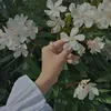 zahratalrabie23