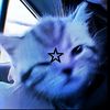 pann_xnxx