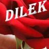 dilek.capan2