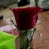 sitifadliyah25