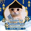 muh.fahri225