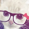 .verien.xyc0