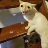 fhgjbjfgnj23