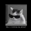 dharmanncontent4u