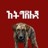 fevianimalsneedattention