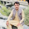 zaib7271