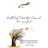 muhammad.3304