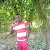 keviwesi