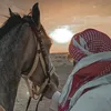 mohamde_ab