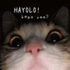 ini_byebey