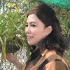 daothi667