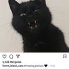 sergiomezaflore1