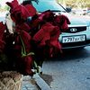 muhtar_magomedov.05