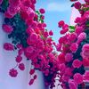 hatice.gngr480