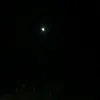 wwhhyrj