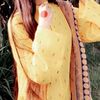 Alina mengal
