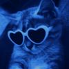its_bluenap