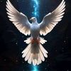 user8992132935520