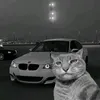 yoskan.mehmed04