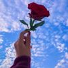 habibaamr187