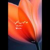 soso9516_