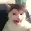 jakjakub5