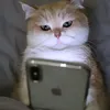 films_and_movies_tiktok