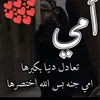user9593000858784