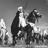 marocain_chelh